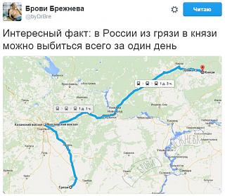 Для поднятия настроения!-cfl4odsxiaeyo2u.jpg