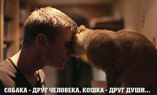 Домашние питомцы.-image.jpg