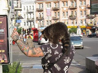 VASer. Дневники путешествий на Caddy-img_2348-1.jpg