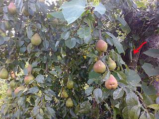 Флудилка-foto0708.jpg