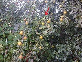 Флудилка-foto0715.jpg