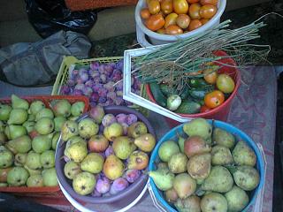 Флудилка-foto0717.jpg
