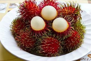 Флудилка-frukt-rambutan.jpg