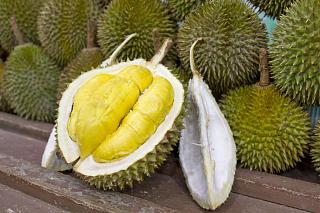 Флудилка-durian1.jpg