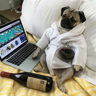 Ура,пятницаааа!!!-7bitsbzlr-4.jpg