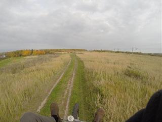 Позитивы и негативы сегодняшнего дня-g0243674.jpg