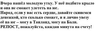 Анекдот-image-1.jpeg