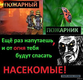 Строим "свой"дом!-2454296.jpg
