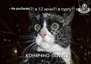 Рыбалка-image-2.jpeg