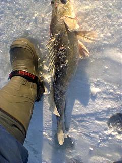 Рыбалка-foto0504.jpg