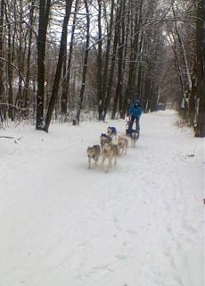 Вчера такое встретил...-2016-12-02_15-58-09.jpg