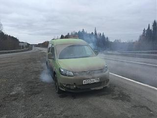 Аллигатор CrossCaddy 2.0TDi 4 motion-img_7989.jpg