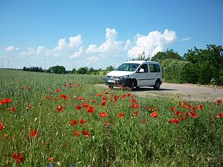 Двигатель 1.6TDI Эксплуатация, неисправности-p1190536.jpg