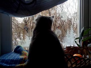 Флудилка-img_20170206_130553.jpg