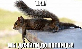 Ура,пятницаааа!!!-t1hamlndp20.jpg