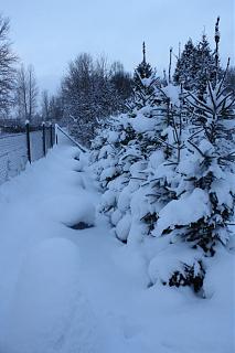 И о погоде-img_1745.jpg