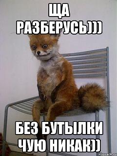Ключи с чипом. ВСЕ проблемы и вопросы.-uporotaya-lisa_52054995_orig_.jpeg