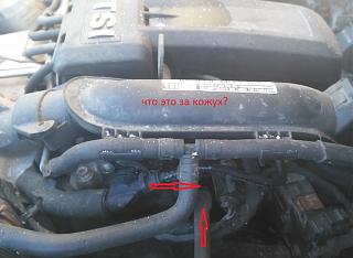 Вопросы и ответы о Caddy-img_02.jpg