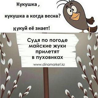 И о погоде-img_4450.jpg