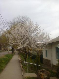 И о погоде-foto0849.jpg