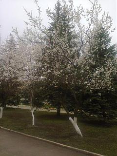 И о погоде-foto0850.jpg