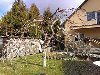 Флудилка-img_20170422_095409.jpg