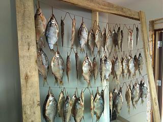 Флудилка-img_20170422_095455.jpg