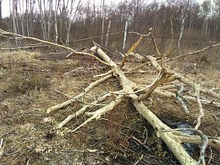 Флудилка-img_20170428_170307.jpg