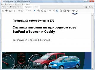 CADDY EcoFuel-bezymyannyi.jpg