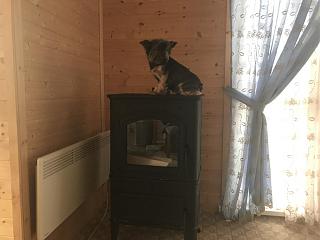 Строим "свой"дом!-img_4864.jpg