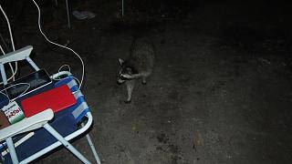 Летом в Крым-p7143041.jpg