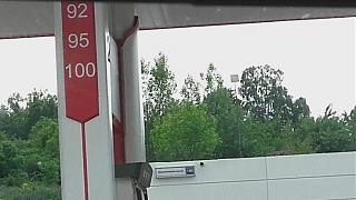 Вчера такое встретил...-20170612_165707-1-.jpg
