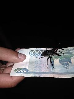 Интересные фотографии, сделанные членами клуба-img_3551.jpg
