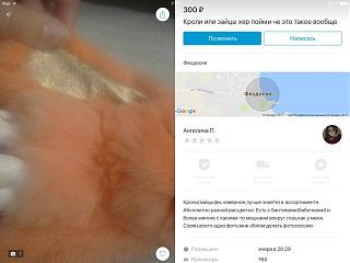 Интересные фотографии, сделанные членами клуба-img_1868.jpg