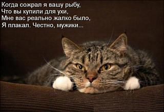 Рыбалка-1.jpg
