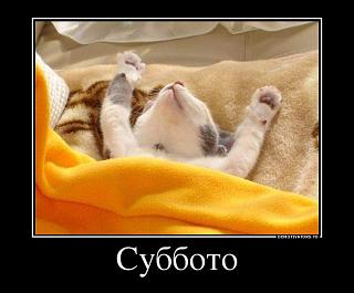 Ура,пятницаааа!!!-69b04bdf-7f94-4bae-9dd8