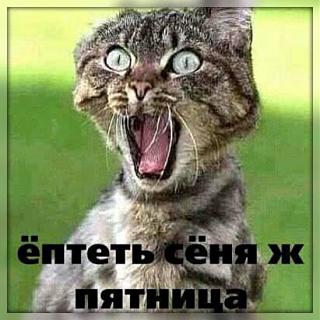 Ура,пятницаааа!!!-78998797.jpg