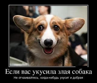 Для поднятия настроения!-1415945203_02.jpg