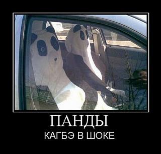 Для поднятия настроения!-demotivator-019.jpg