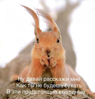 Ура,пятницаааа!!!-9578b21e-c28a-4ee7-99c8-799c6e736e21.jpg