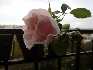 И о погоде-img_20171128_144039.jpg