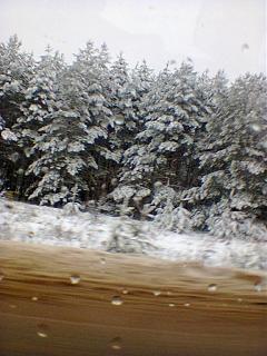 И о погоде-foto0702.jpg