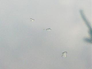 ЛКП-27052012590.jpg