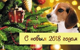 С праздником-otkrytki-s-novym-2018-godom-25.jpg