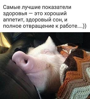 Приколы из интернета-image.jpg
