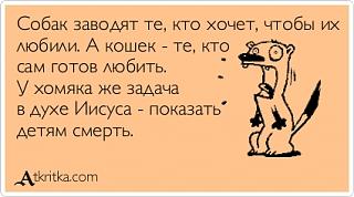 Домашние питомцы.-ii.jpg