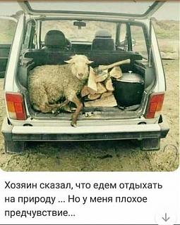 Для поднятия настроения!-image-6-.jpg