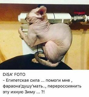 Приколы из интернета-n3k5riodlhi.jpg