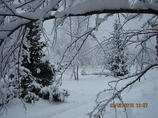И о погоде-img_3627.jpg