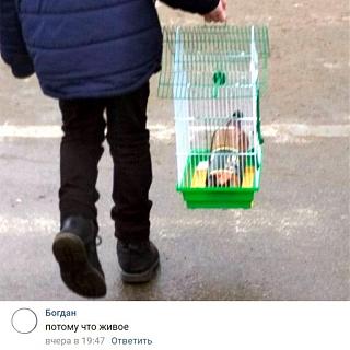 Ура,пятницаааа!!!-rfpg9onv8p8.jpg